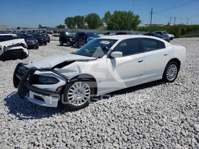 2020 Dodge CHARGER photo