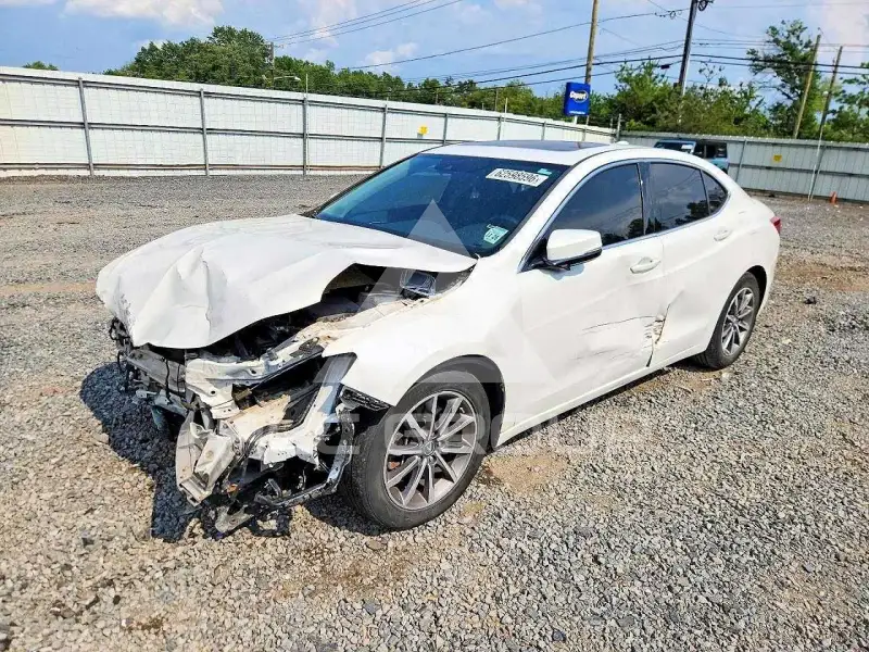 2020 Acura TLX photo