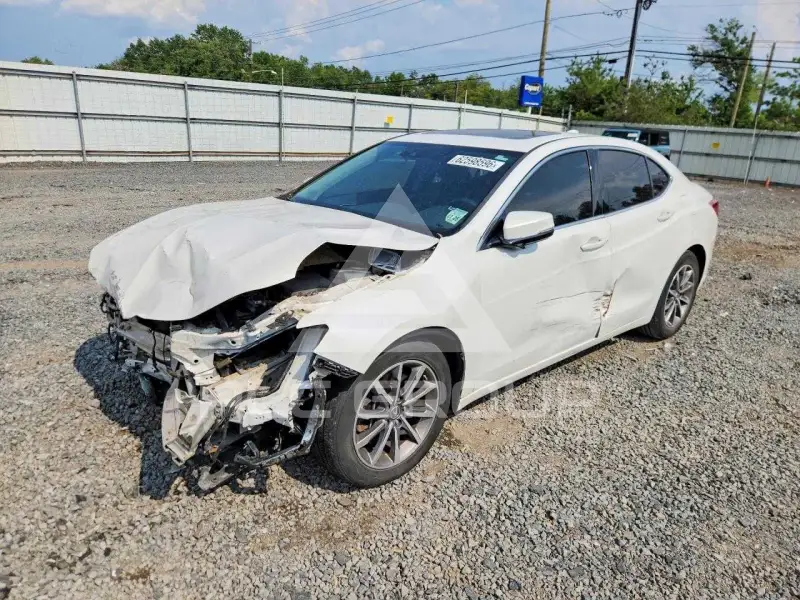 2020 Acura TLX photo