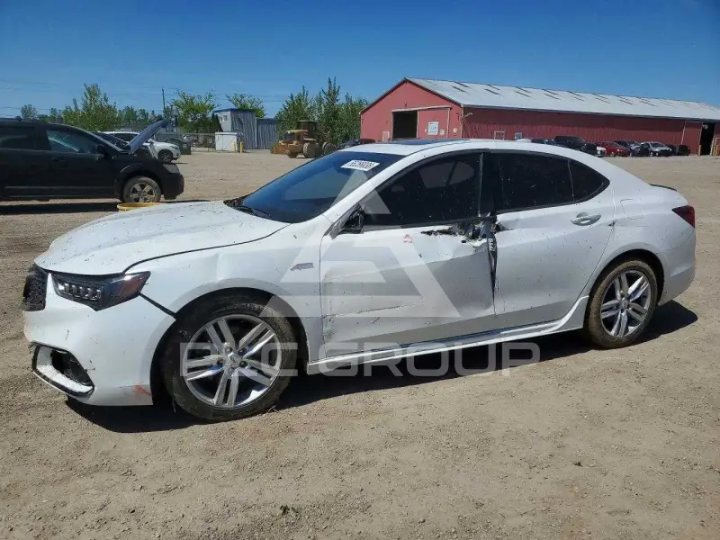 2020 Acura TLX photo