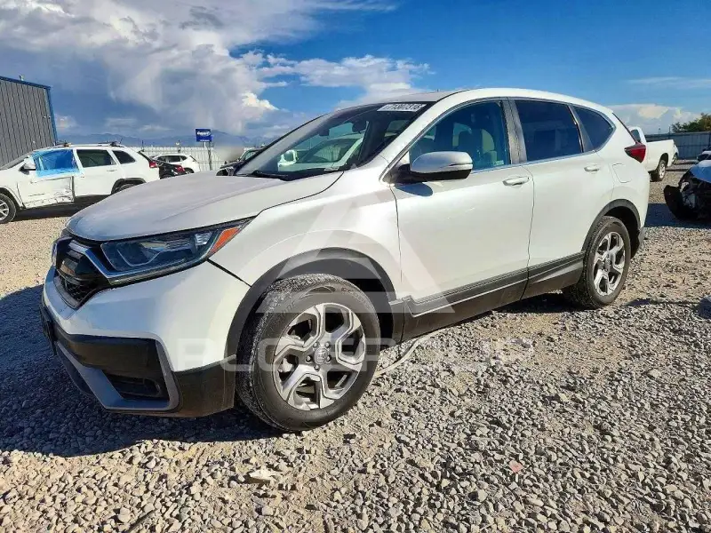2020 Honda CR-V фото