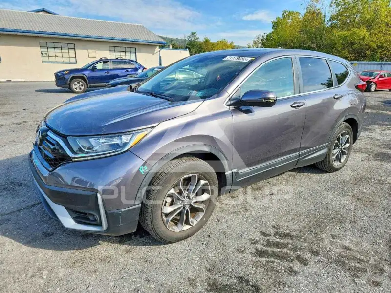 2020 Honda CR-V фото