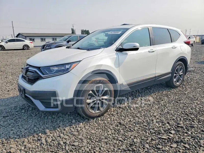 2020 Honda CR-V photo
