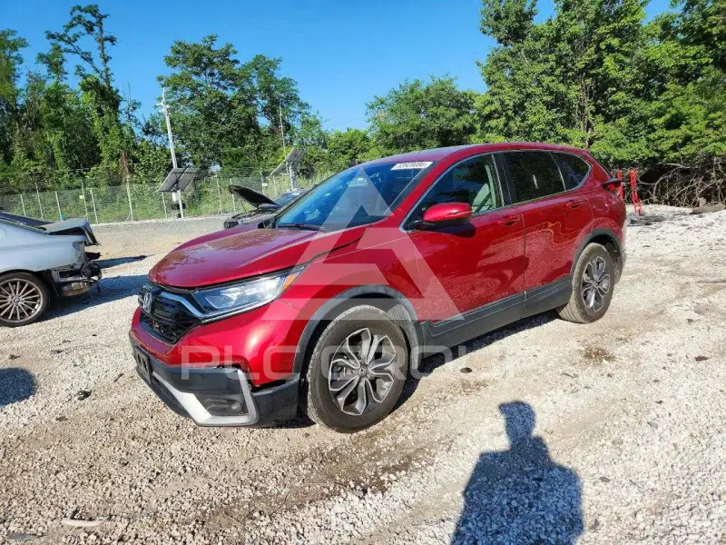 2020 Honda CR-V фото