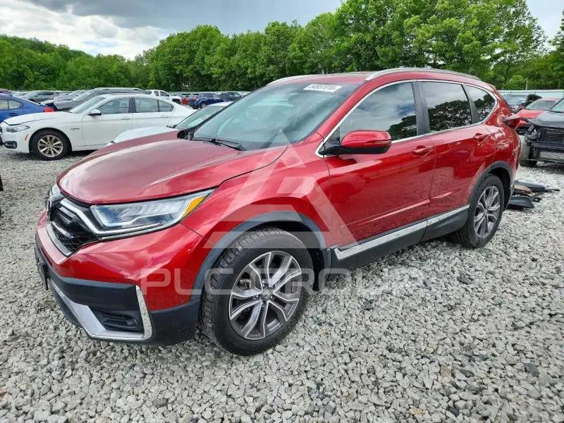 2020 Honda CR-V photo