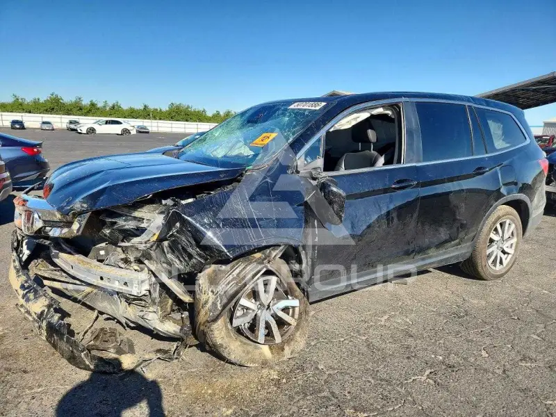 2020 Honda PILOT photo