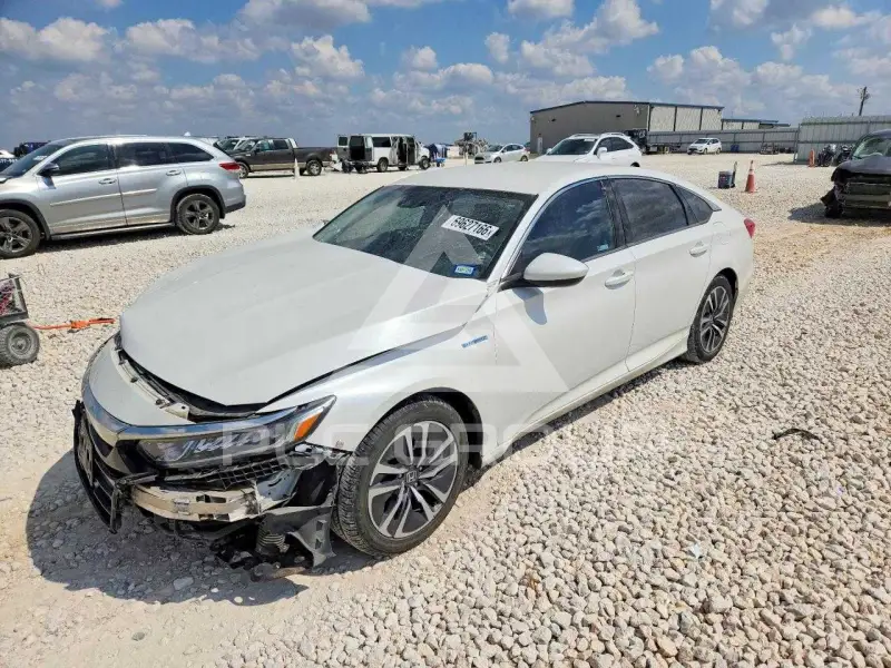 2020 Honda Accord photo