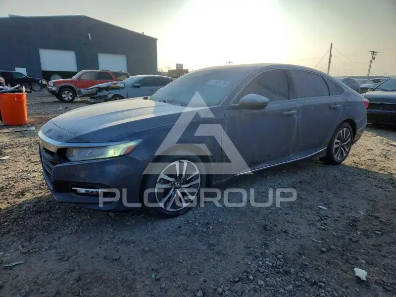 2020 Honda Accord photo