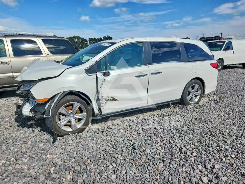 2020 Honda ODYSSEY photo