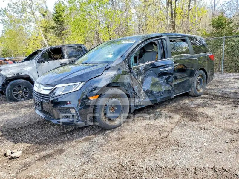 2020 Honda ODYSSEY фото