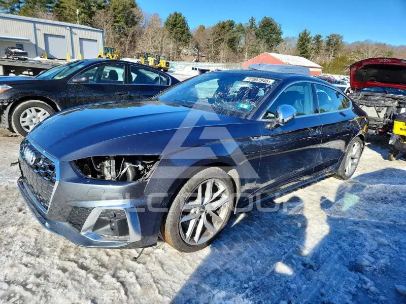 2020 Audi S5 фото