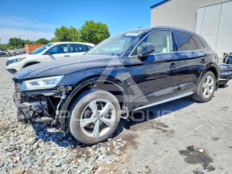 2020 Audi Q5 photo