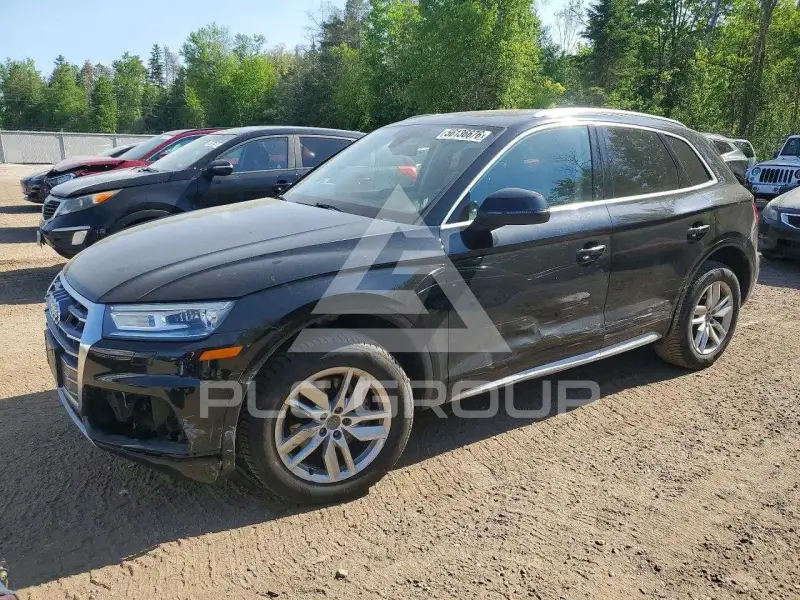 2020 Audi Q5 фото
