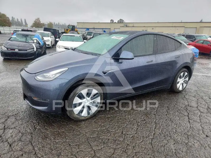 2020 Tesla Model Y фото