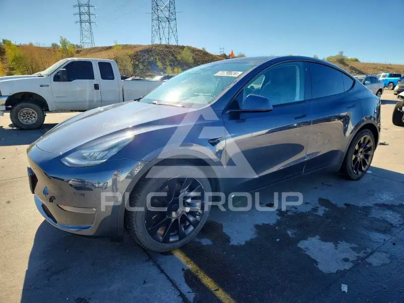 2020 Tesla Model Y фото