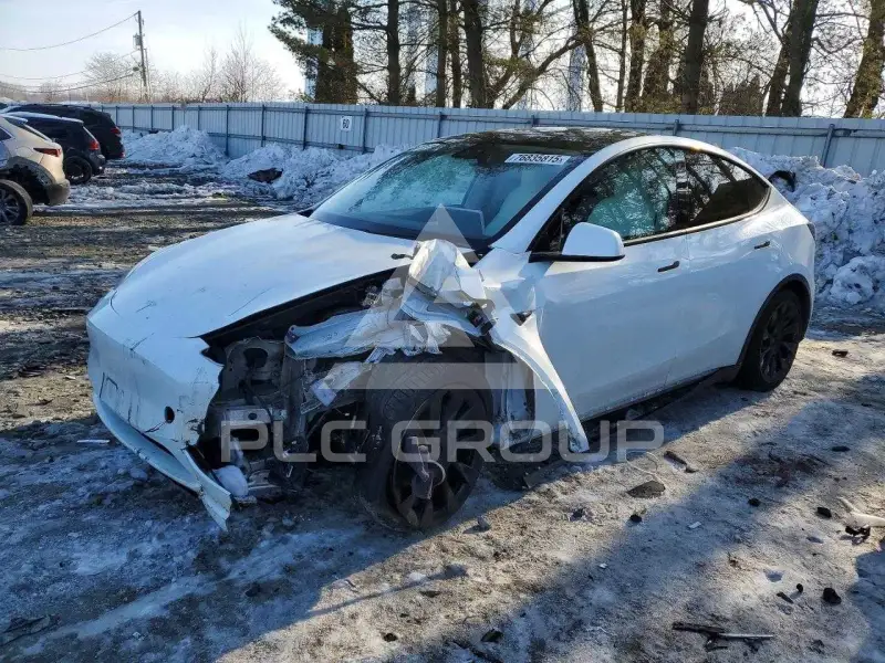 2020 Tesla Model Y фото