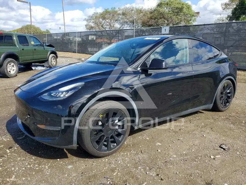 2020 Tesla Model Y фото