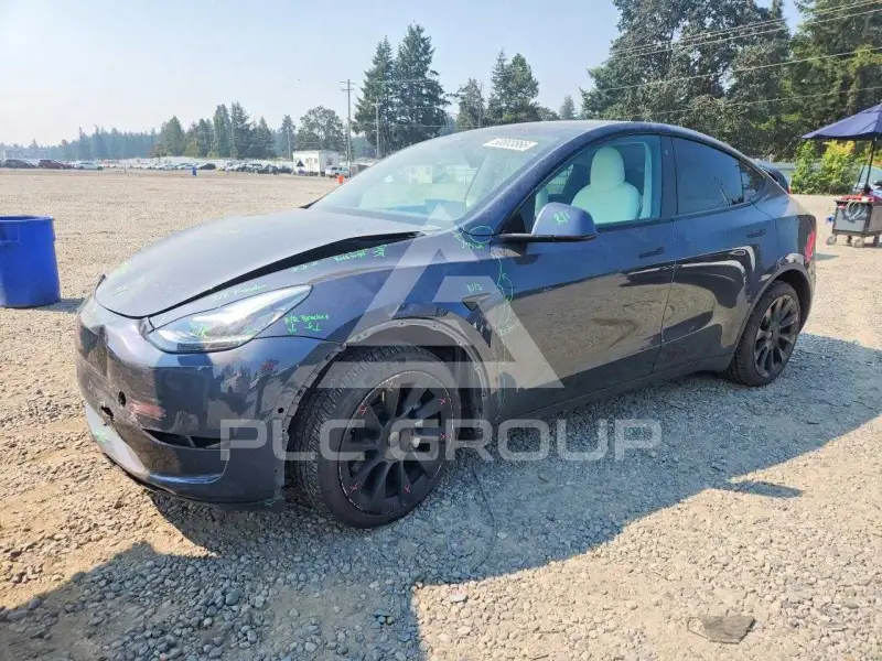 2020 Tesla Model Y photo
