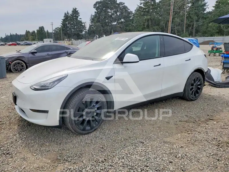 2020 Tesla Model Y photo