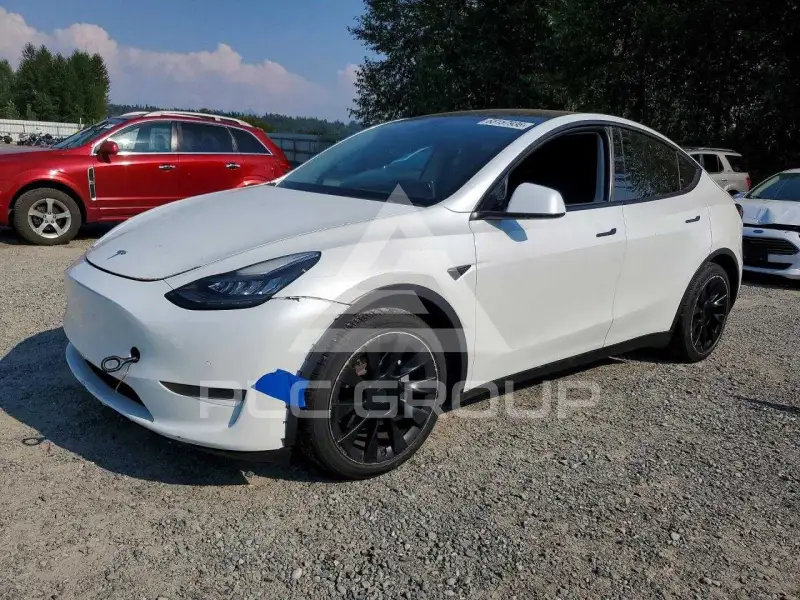 2020 Tesla Model Y фото