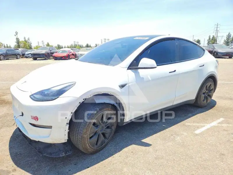 2020 Tesla Model Y фото
