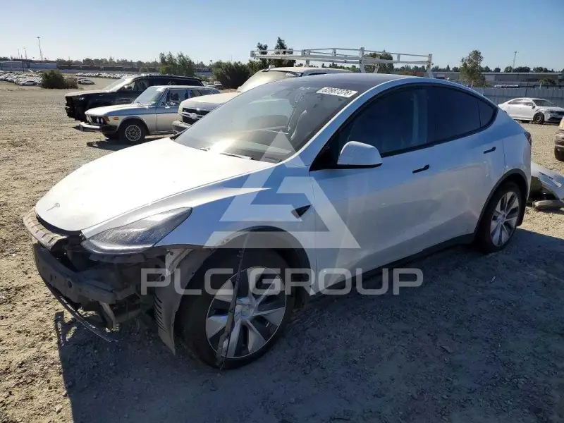 2020 Tesla Model Y photo