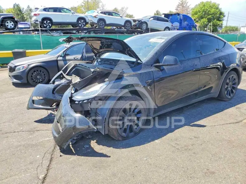 2020 Tesla Model Y фото