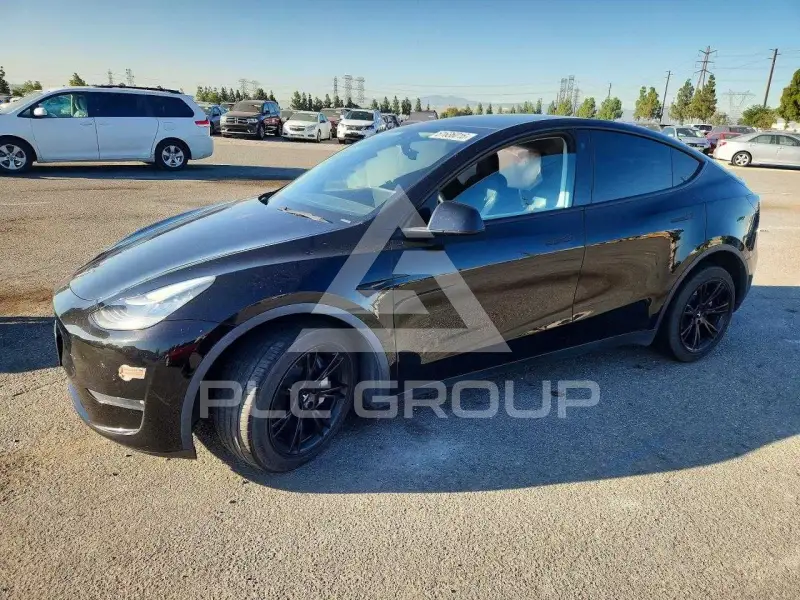 2020 Tesla Model Y фото