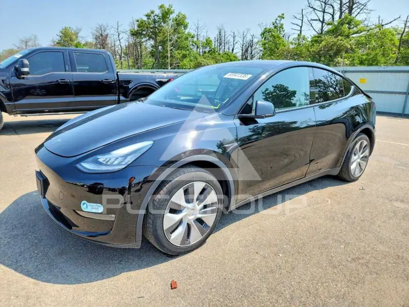 2020 Tesla Model Y фото