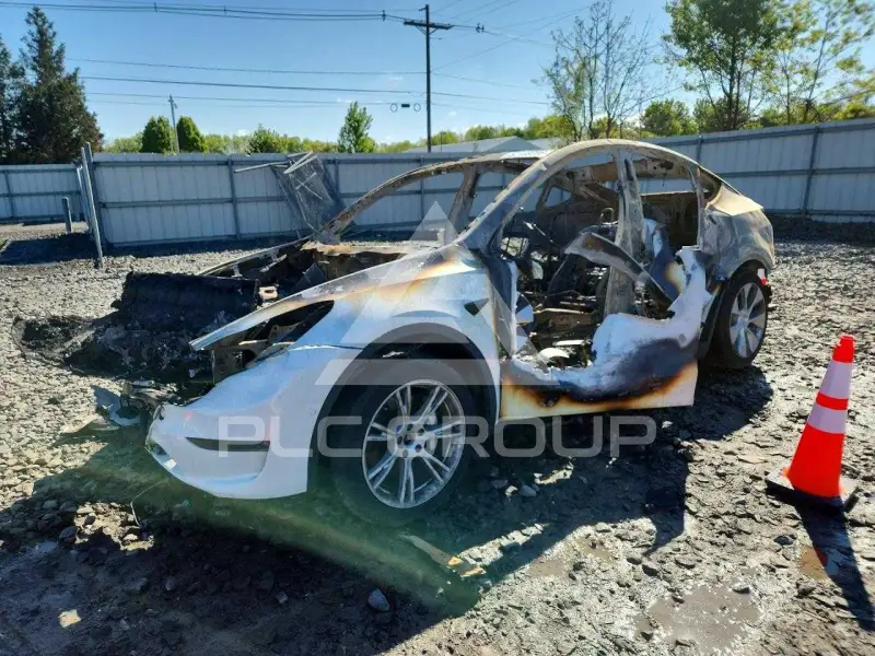2020 Tesla Model Y фото