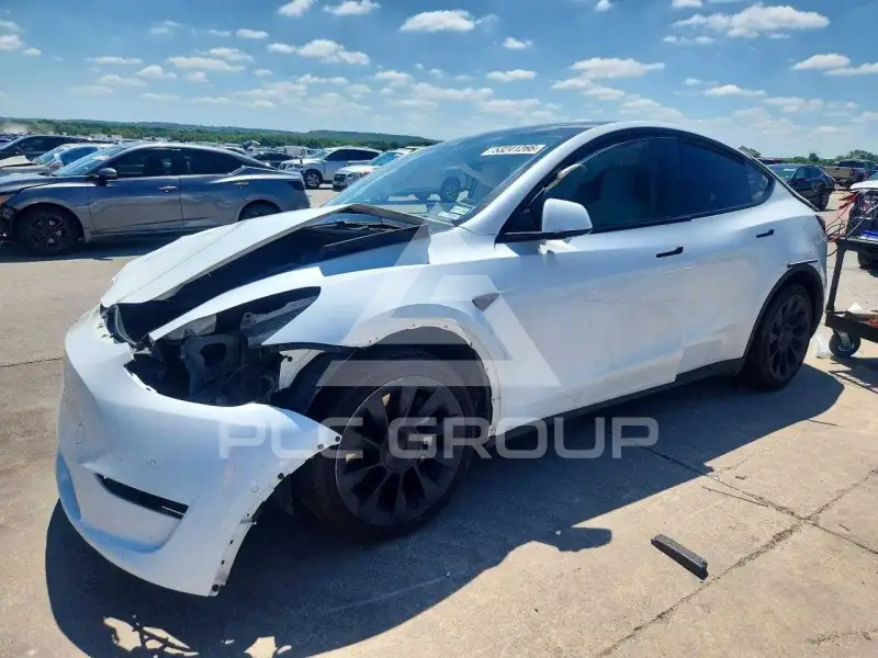 2020 Tesla Model Y photo