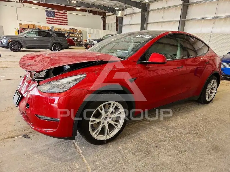 2020 Tesla Model Y фото