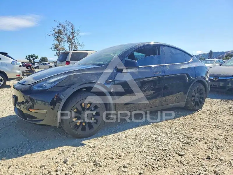 2020 Tesla Model Y photo