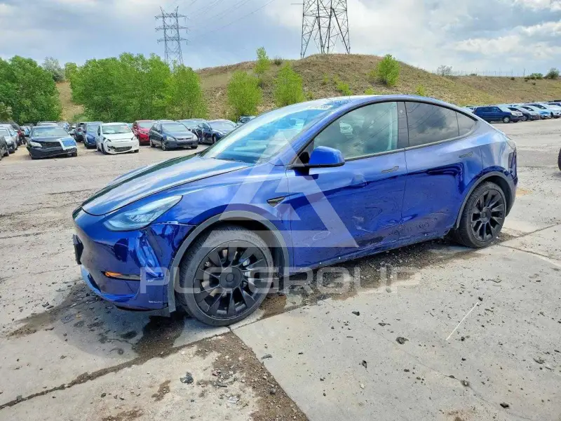 2020 Tesla Model Y фото