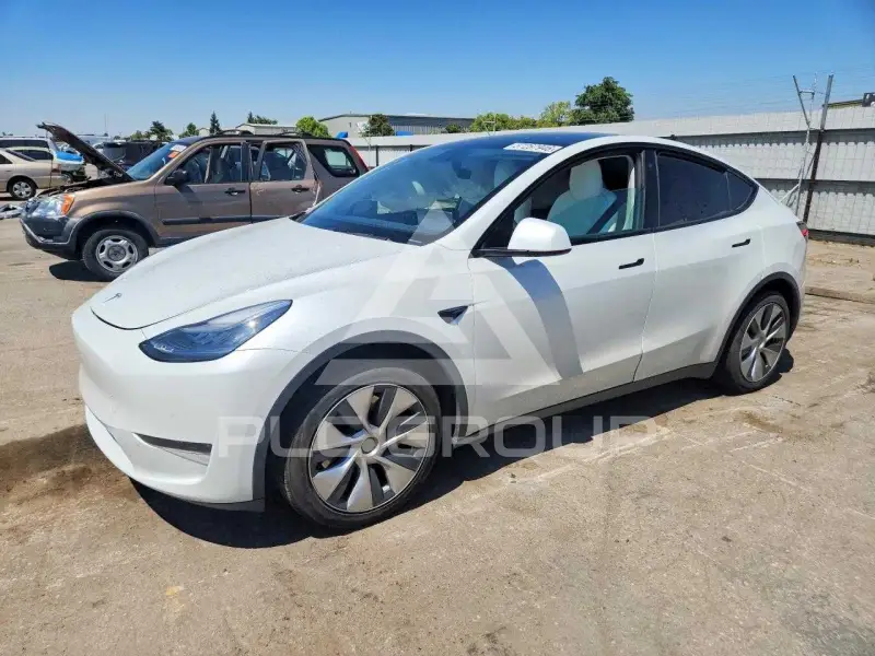 2020 Tesla Model Y photo