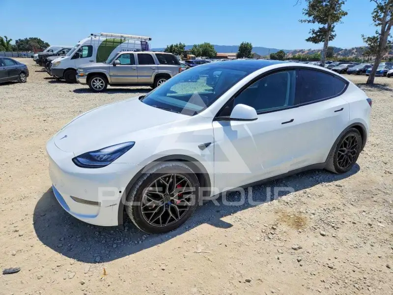 2020 Tesla Model Y photo