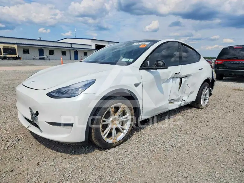 2020 Tesla Model Y photo