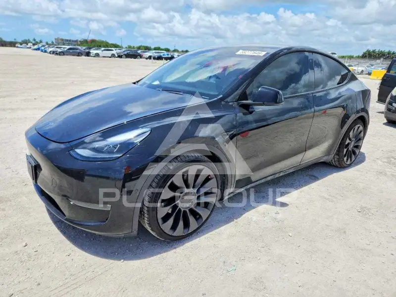 2020 Tesla Model Y фото