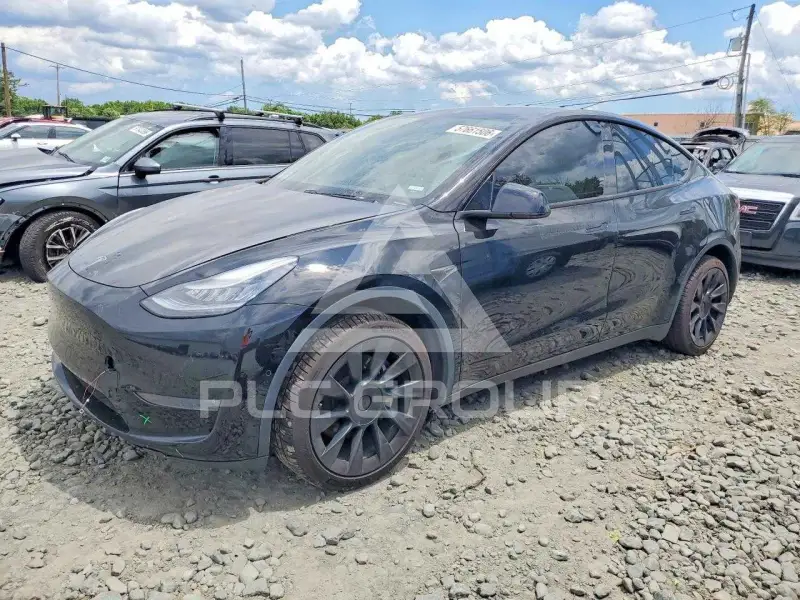 2020 Tesla Model Y photo