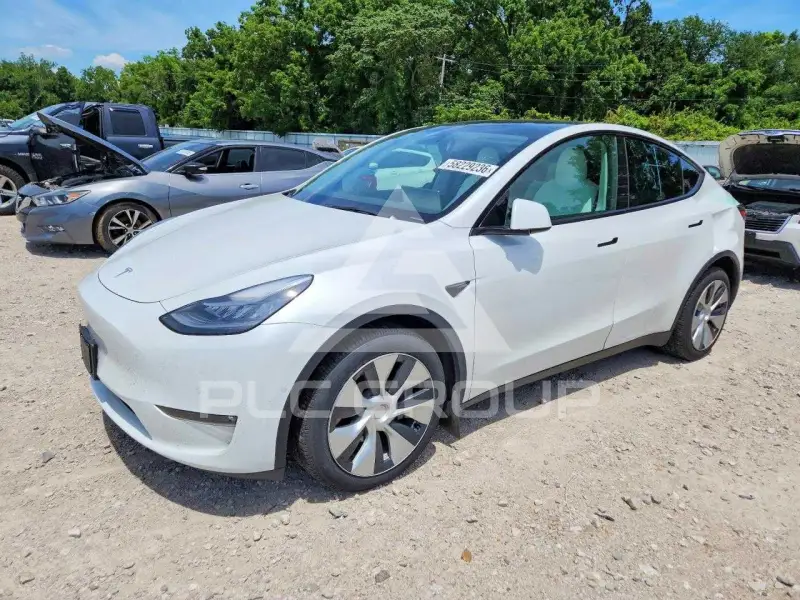 2020 Tesla Model Y фото