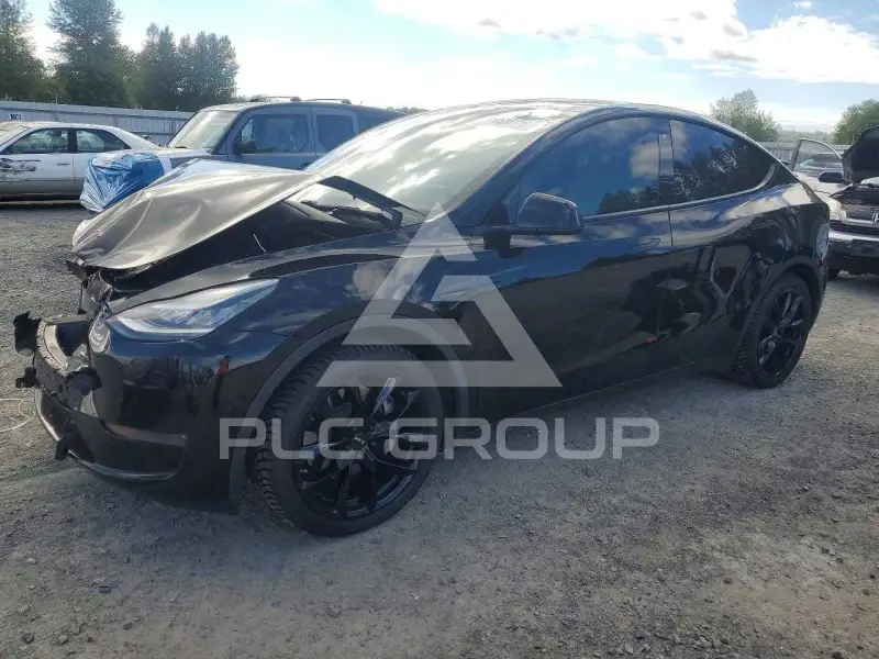 2020 Tesla Model Y фото