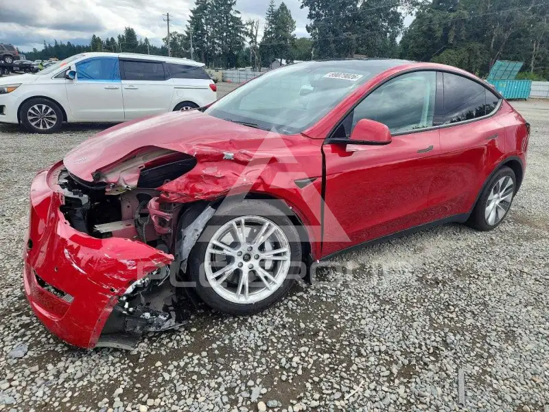 2020 Tesla Model Y photo