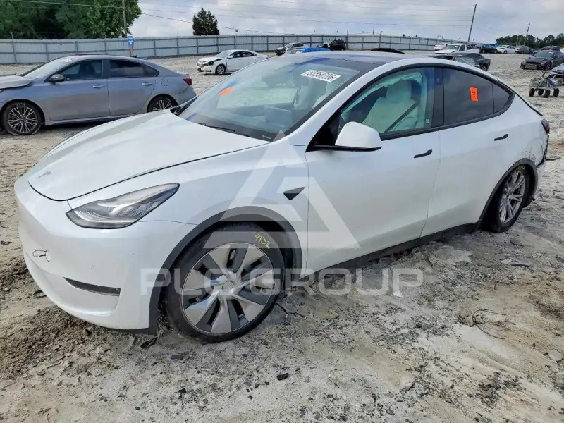 2020 Tesla Model Y photo