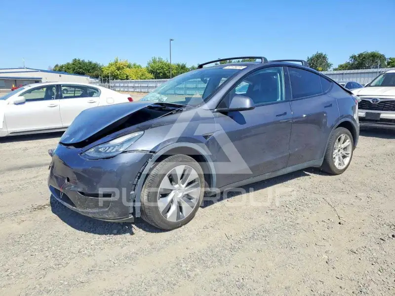 2020 Tesla Model Y фото
