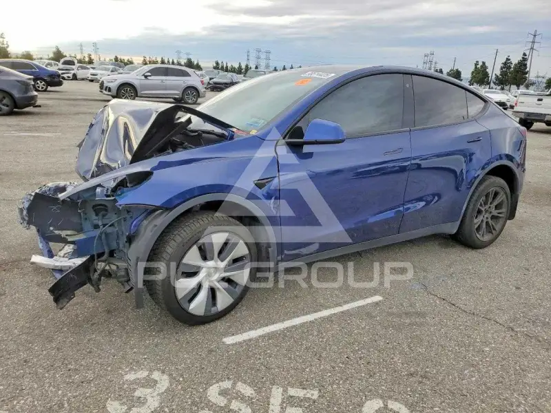 2020 Tesla Model Y photo