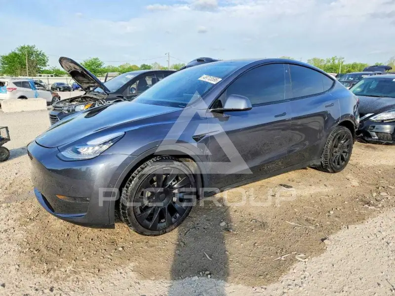 2020 Tesla Model Y photo