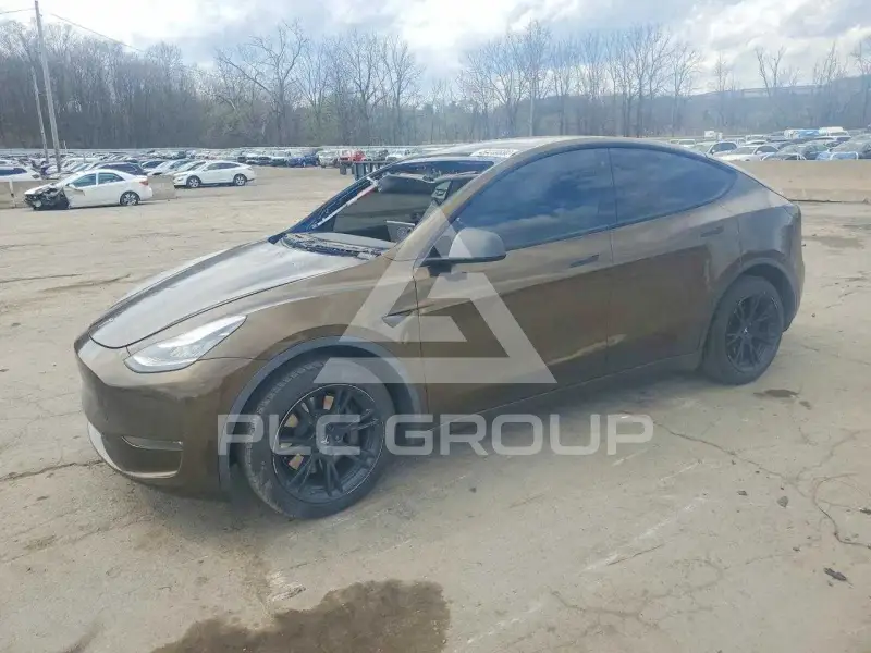 2020 Tesla Model Y photo