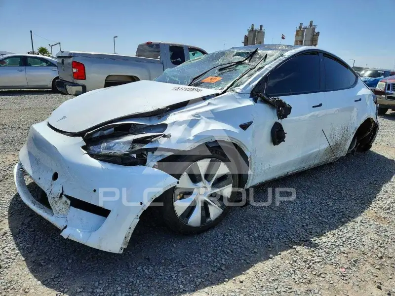 2020 Tesla Model Y photo