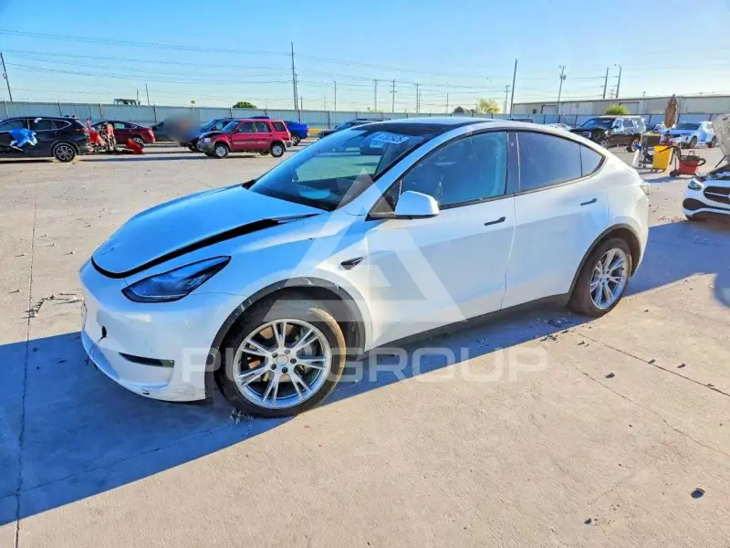 2020 Tesla Model Y photo