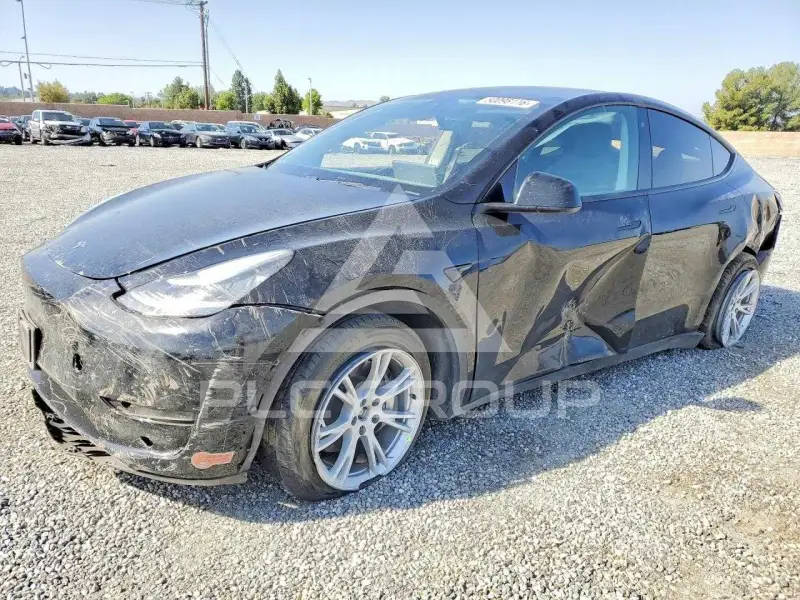 2020 Tesla Model Y фото